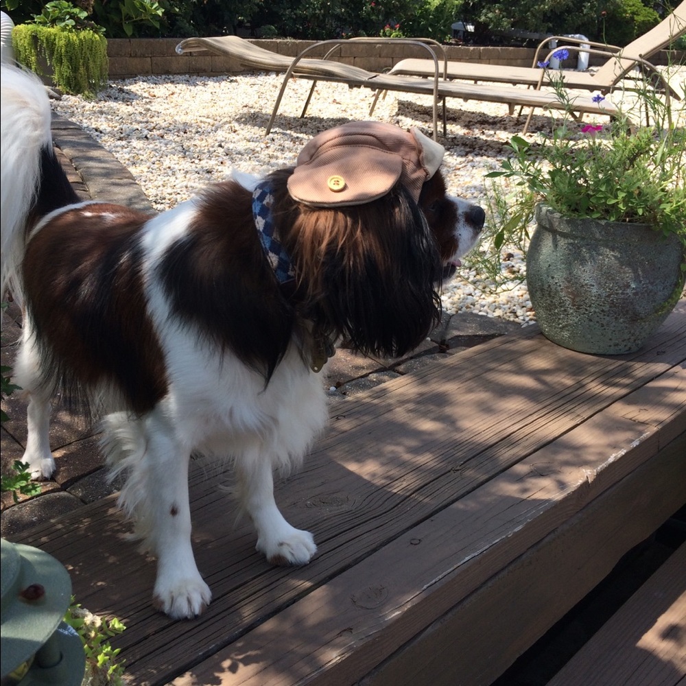 Meet your Posher, Becky